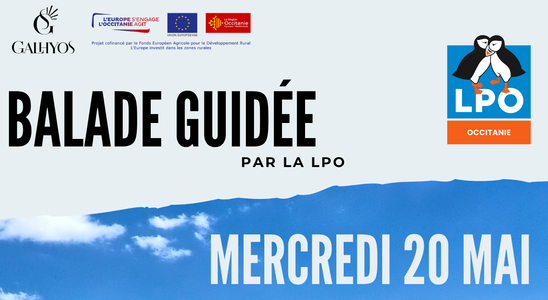 Balade guidée avec la cave Galhyos
